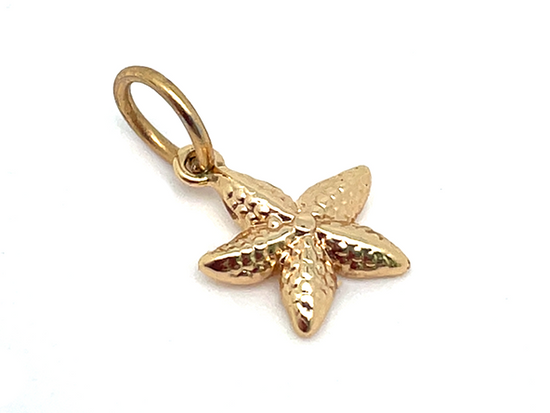Load image into Gallery viewer, Gold Sea Star Charm
