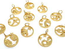 Treasure Box | Elegant Zodiac Pendant | LINK, design your own
