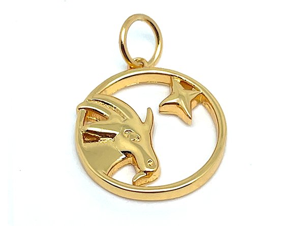 Elegant Zodiac Pendant | LINK, design your own