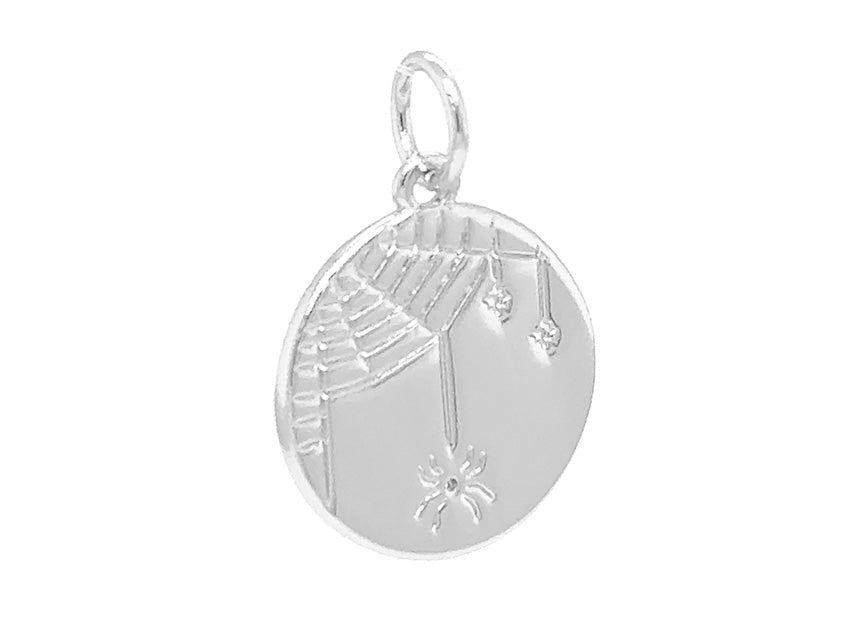 Halloween Spider in Web