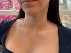 Pickleball Pendant | LINK, design your own