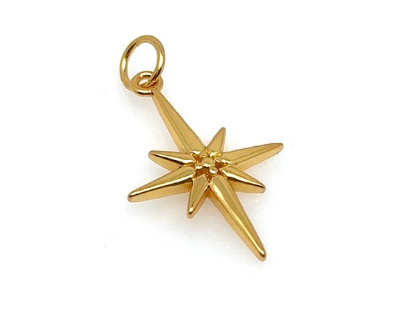 Large North Star