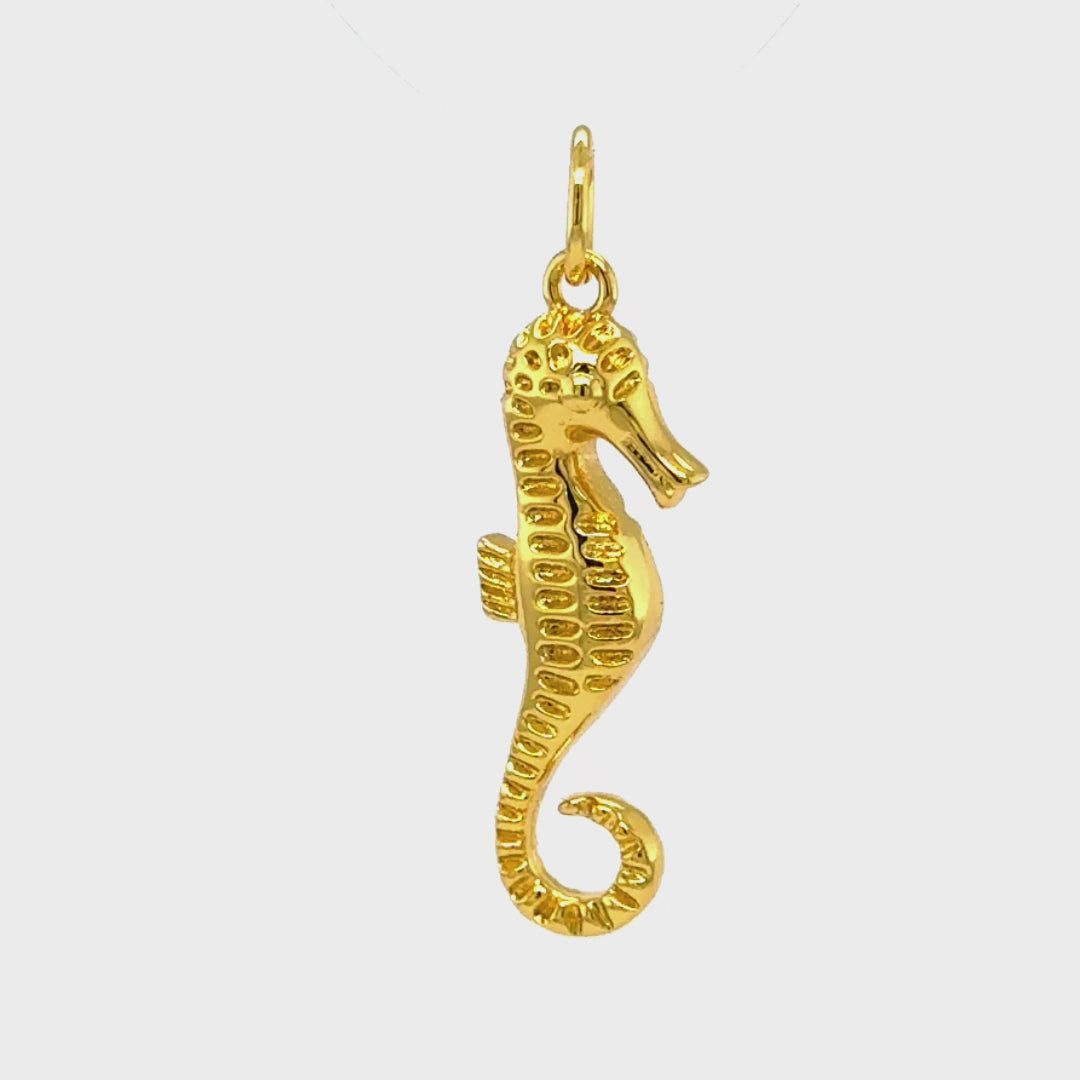 Load and play video in Gallery viewer, Serene Seahorse Pendant
