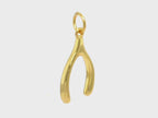 Wishbone Pendant
