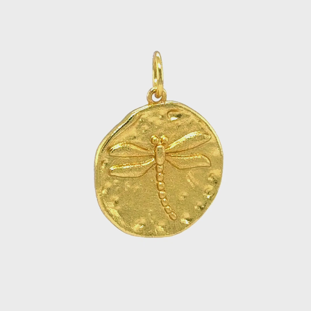 Load and play video in Gallery viewer, Dragonfly Coin Pendant
