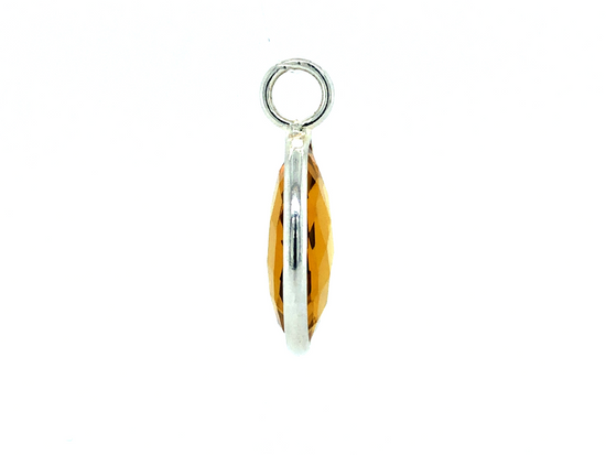 Load image into Gallery viewer, Infinity Citrus Silver or Gold Circle Necklaces
